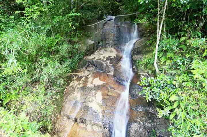 �Ώ҂̑�E�E����̒���